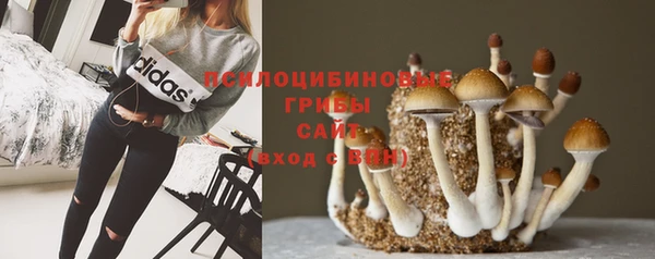MDMA Premium VHQ Нязепетровск