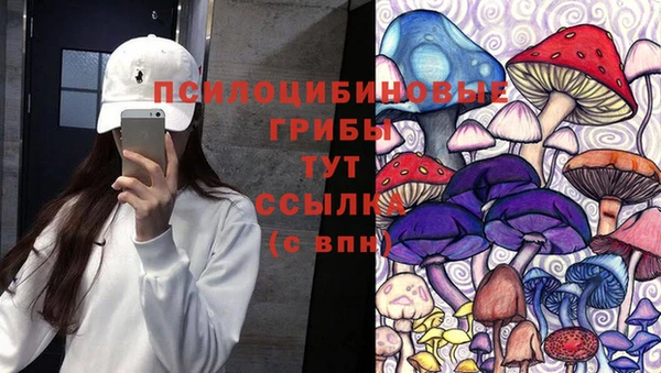 mdpv Нягань